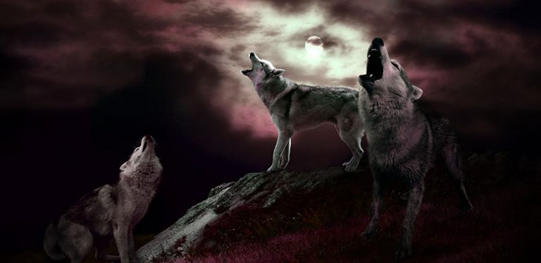 RockSoul - 2k Curved Gaming Monitor, Gaming Keyboard, Gaming Mouse